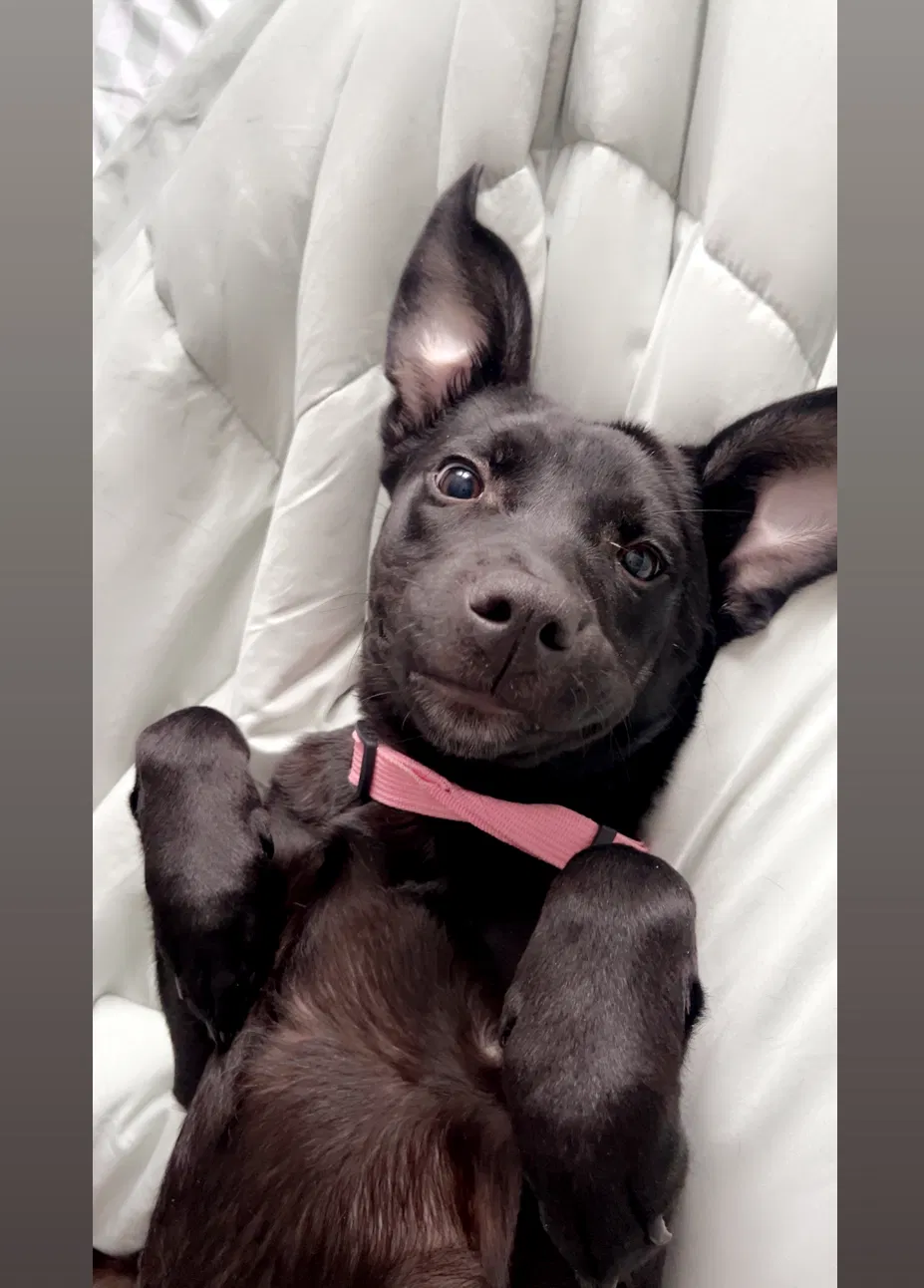Luna
