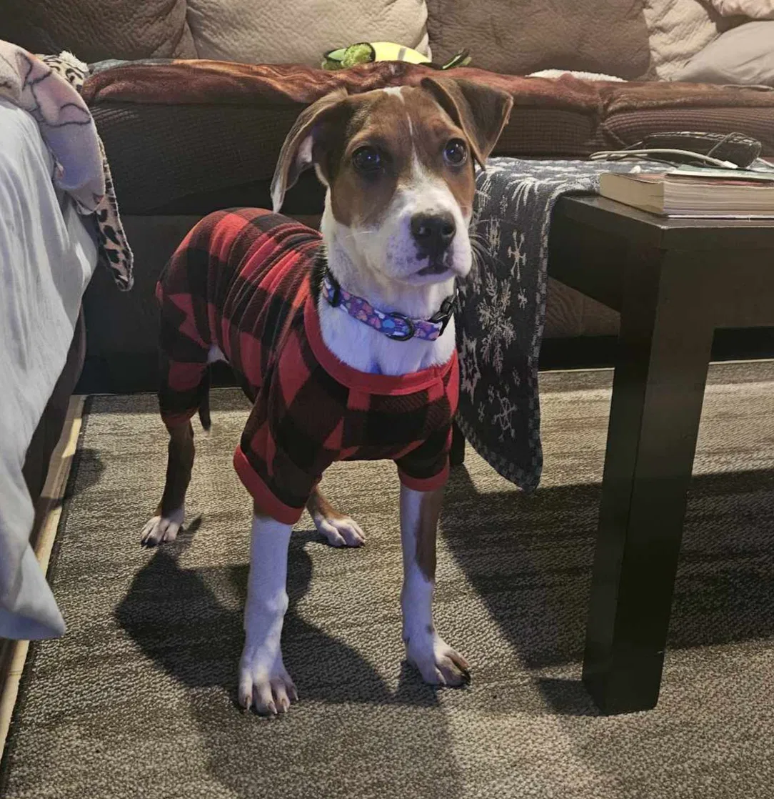 Daisy